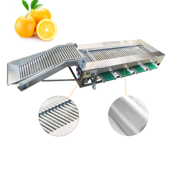 Stainless Steel Roller Type Classifier for Orange Grading
