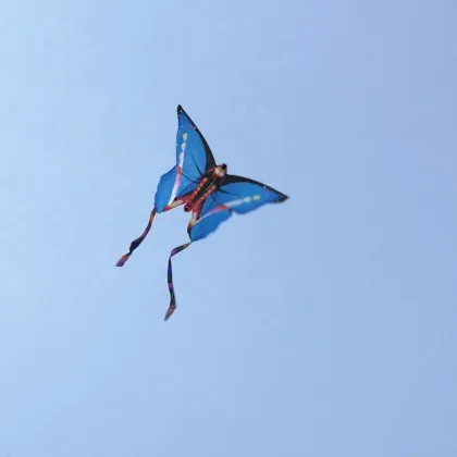 New Model Butterfly Kite: Fly High and Beautiful