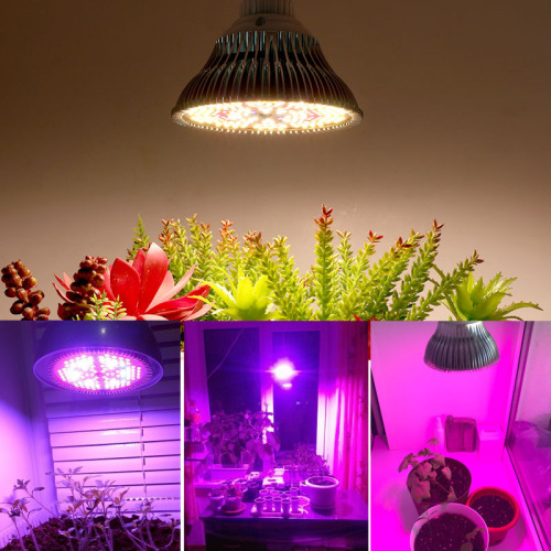 Plant Growth Par Light