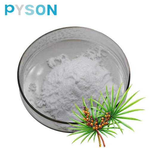 fatty acids Saw Palmetto Extract