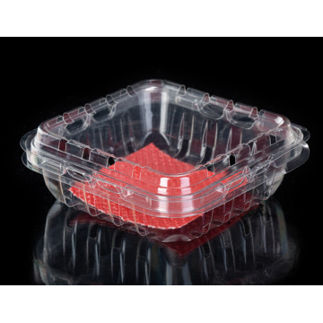 Multi-use biodegradable clear fruit clamshell