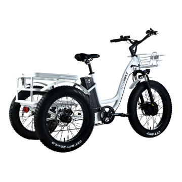 2022 Elektrofahrräder drei Rad geschlossene elektrische Dreirad für Erwachsene