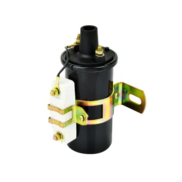 C6R800 Oil Filled Ignition Coil for Nissan Ford Toyota Fiat