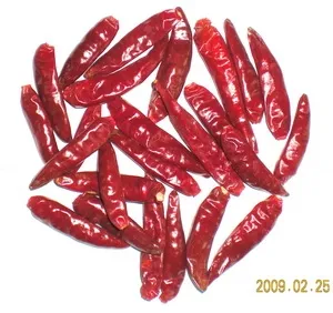 High quality natural organic chili pods