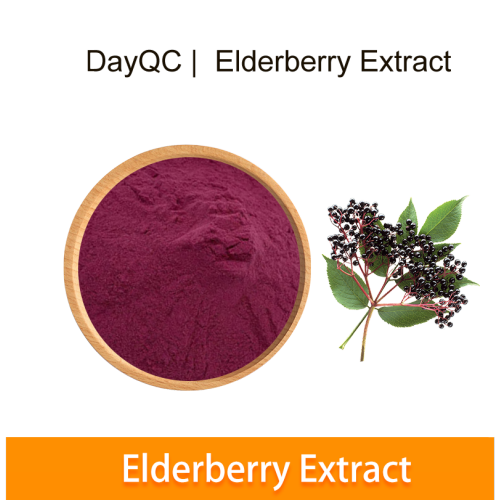 Bulk schwarze Elderberryxtrakt Pulver Elderberry Anthocyanin