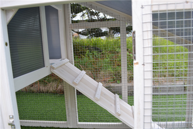 welcomed chicken coop