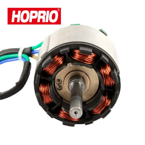 HOPRIO HPBL6040-220V17K1300W AC brushless BLDC motor for micro electric tools motor