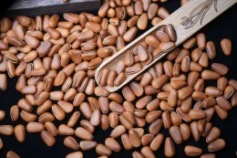 160g Deep frying Open Pine Nut