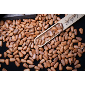 160 γρ κουκουνάρι ανοιχτό τηγάνισμα