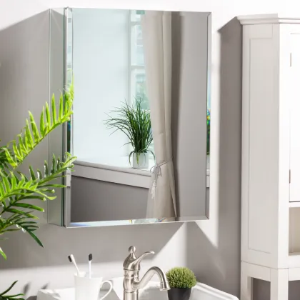 Amazon Wayfair Aluminum Single Door Medicine Cabinet