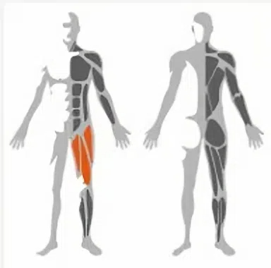 Hack Squat Leg Press Strength