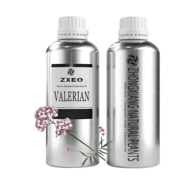 Minyak atsiri valerian grosir untuk aroma diffuser 100% minyak root valerian organik murni untuk tidur dan relaksasi