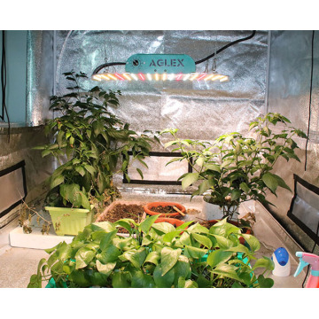 Luces de cultivo de vegetales LED de espectro completo 100W