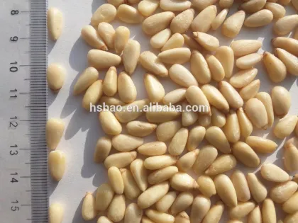 Jilin Painuo HSB Big Korean Pine Nut Kernels 100g/600pellets Chang Bai Mountain Pine Nut Kernels OEM