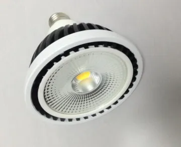 2000lm COB PAR38 LED PAR38