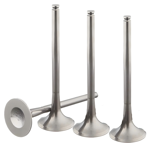OEM Precision Matching Intake Valves