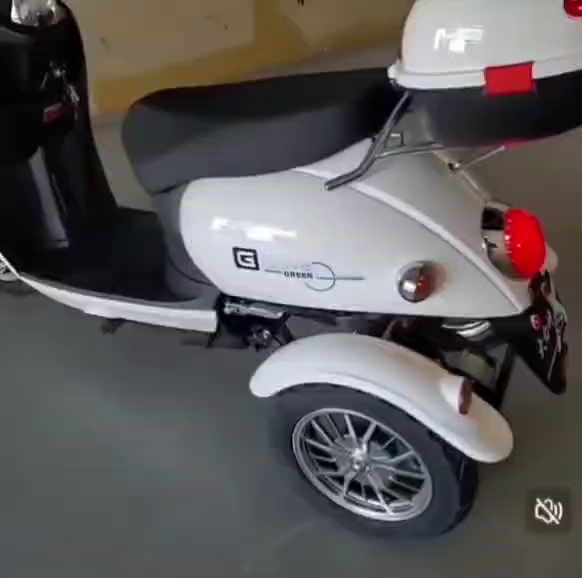 Compact Three-Wheeled Electric Scooter for Home Use