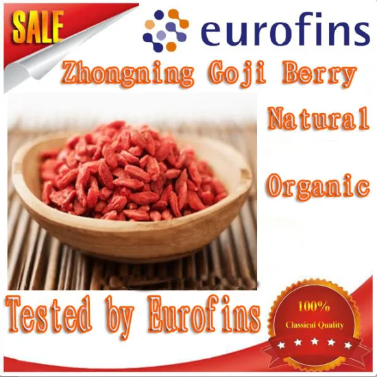 high demand Hot sale dried goji berry of 280 grains per 50 gram