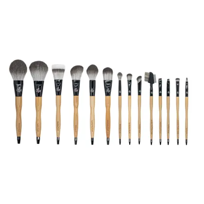 Premium Beauty Brush Kit