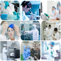 High Purity Delta Sleep Inducing Peptides Dsip
