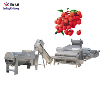 Rambutan and Lychee Peeling and Juicing Equipment