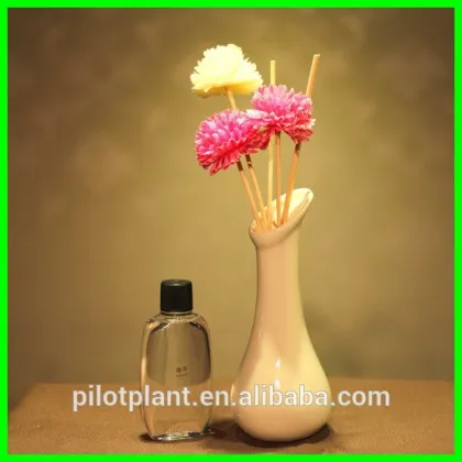 china popular plant essential oil extractor