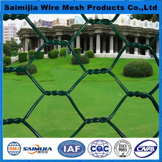 Good quality Crazy Selling hexagonal bird cage wire mesh