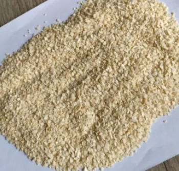 Natural Garlic Powder40-60μm