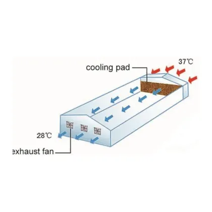 Evaporative Cooling System