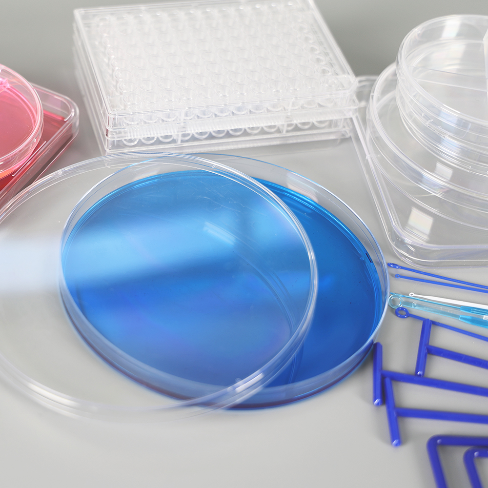 plastic petri dish lab dish