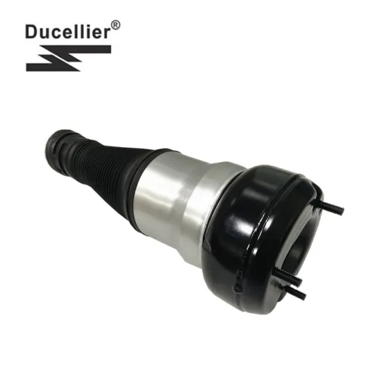 Mercedes-Benz W222 Rear Air Suspension Repair Kit - 2223204713 22232048313