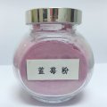 High Quality Blueberry Extract 25% Proanthocyanidin