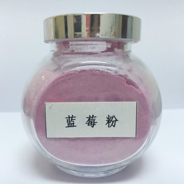 High Quality Blueberry Extract 25% Proanthocyanidin