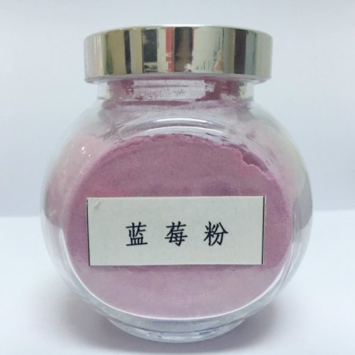 High Quality Blueberry Extract 25% Proanthocyanidin
