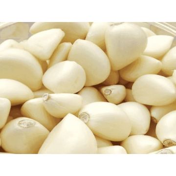 সর্বশেষ ক্রপ করা উচ্চ-মানের খোসা ছাড়ানো রসুনের লবঙ্গ