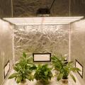 Vollspektrum-LED-Pflanze wachsen Lichtleisten