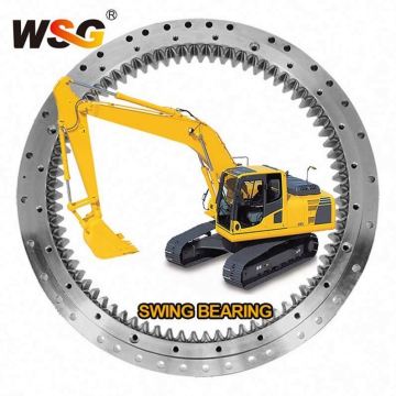 Hot Sale R80-7 E70B Swing Bearing ZX55