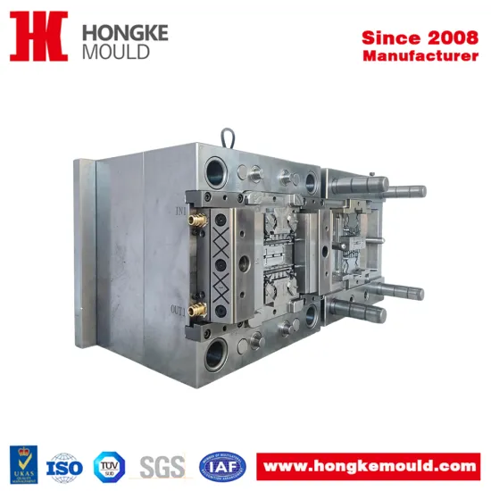 Dual-Cavity POM Home Appliance Precision Mould