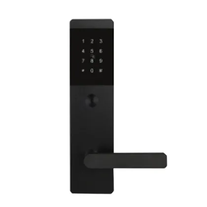 Smart cloud door lock