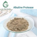 مسحوق إنزيم البروتياز القلوي إنزيم البروتياز الميكروبي