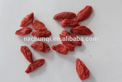 Chinese wolfberry factory/ningxia gojiberry qinghai gojiberry/different grades gojiberry