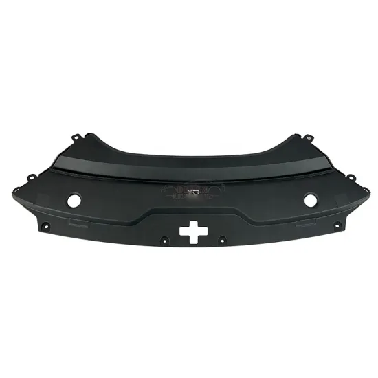 2022-2024 BYD HAN EV Black Front Bumper Grill Cover Plate - Original Protection Accessory