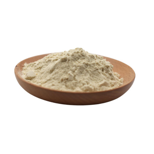 Bulk organic mung bean protein powder