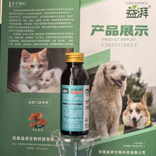 Vitamina B6 para mascotas para infecciones quirúrgicas