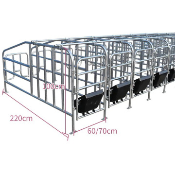 Great Farm Modern Agricultural Equipment - Sow Gestation Cenas e Crates Galvanized Pig Farrowing