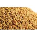 Fenugreek Seed Extract 50% Furostanol Saponins Natural