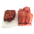 /msite/products/detail/productid/63615664/id/1517769.html