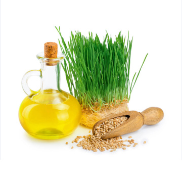 OEM products  wheat germ oil  for bulk