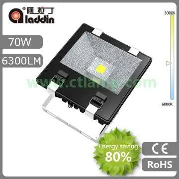 Floodlight 70W