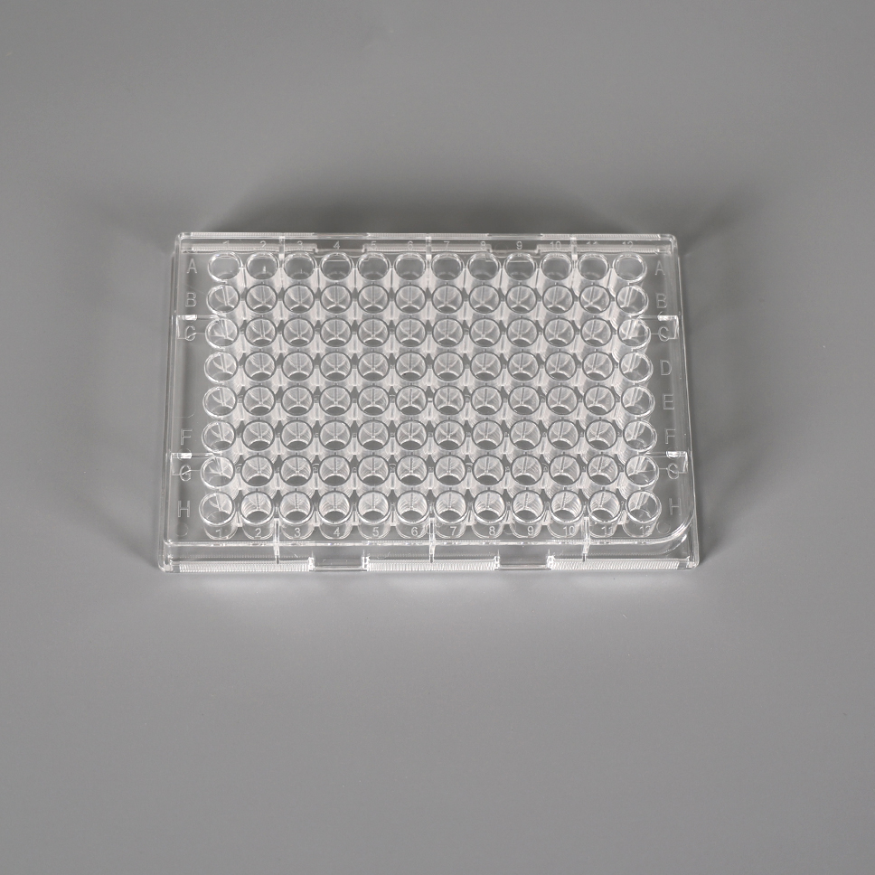 CLEAR Elisa 96 Pigliate Platter flat flat micca removable